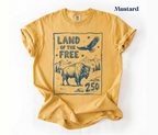 Retro America 250 Shirt, Comfort Colors America 250th Anniversary Shirt, USA 250th Anniversary July 4th Gift, The Summer USA Turned 250 Tee