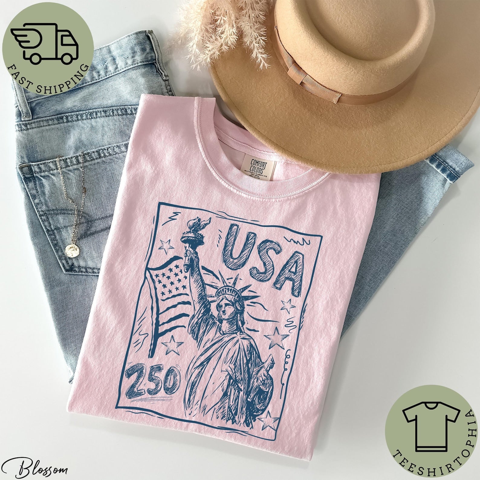 Retro America 250 Shirt, Comfort Colors America 250th Anniversary Shirt, USA 250th Anniversary July 4th Gift, The Summer USA Turned 250 Tee