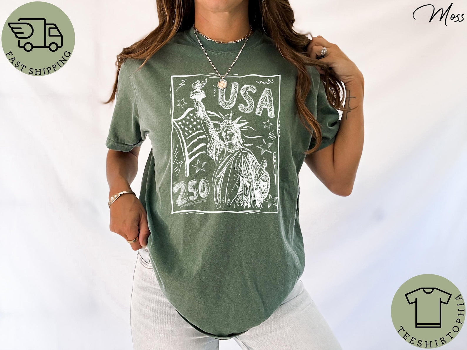 Retro America 250 Shirt, Comfort Colors America 250th Anniversary Shirt, USA 250th Anniversary July 4th Gift, The Summer USA Turned 250 Tee