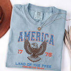 Land of the Free Eagle Tee - Bold Patriotic Style for American Enthusiasts